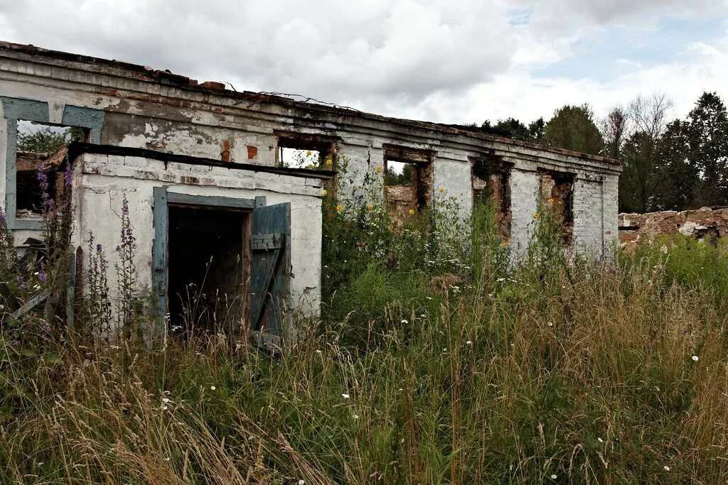 Нежилая деревня. Нежилые дома в деревне. Заросшая деревня. Нежилой поселок. Деревня даратники.