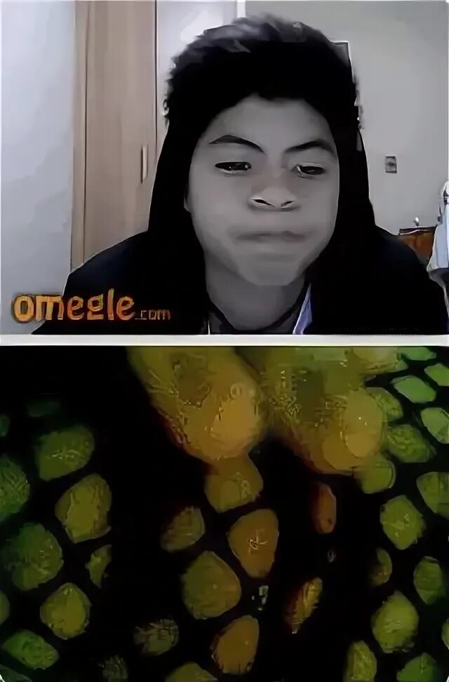 Омегле несовершеннолетними. JBL Omegle. Omegle Electric worm. Omegle Kids 2020 Phantom. Omegle dick