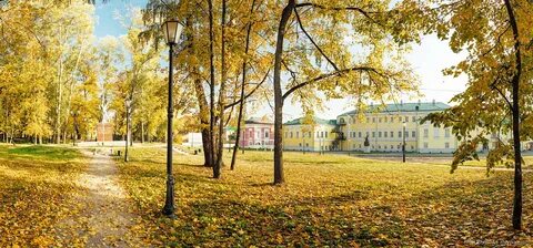 Выкса фото парка