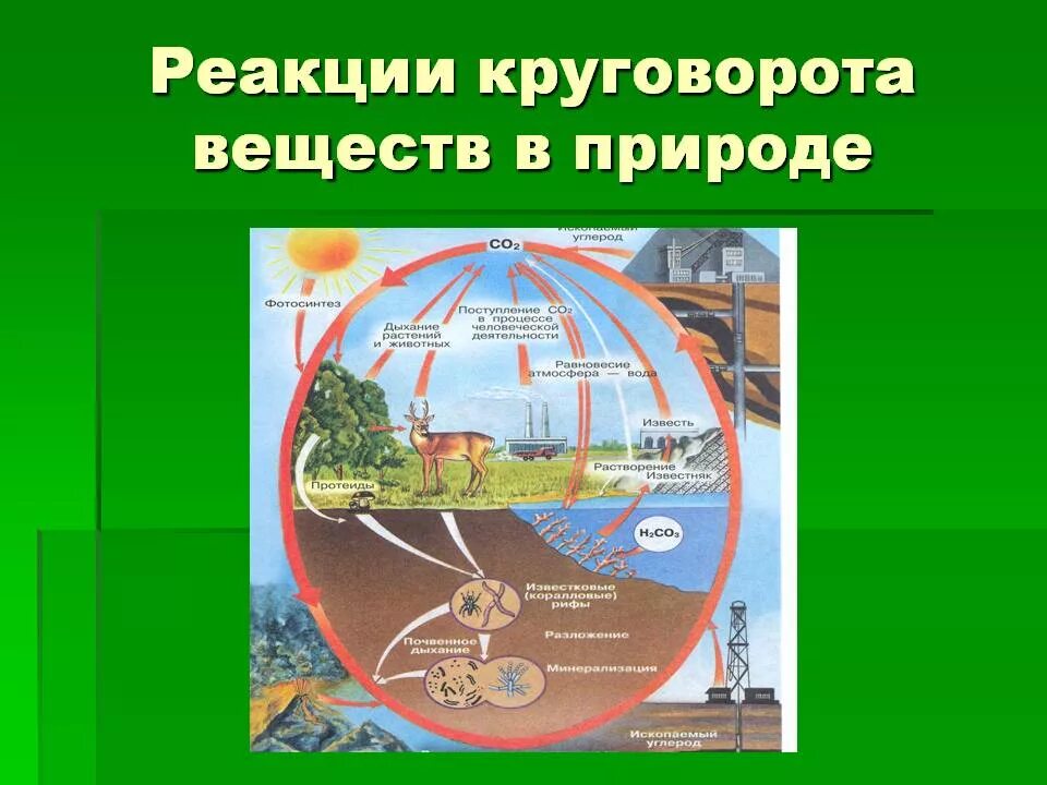 Презентация круговорот веществ в природе 5 класс. Круговорот веществ в природе. круговорот веществ в природе 3 класс. модель круговорота в природе. круговорот веществ в природе 3 класс окружающий мир.