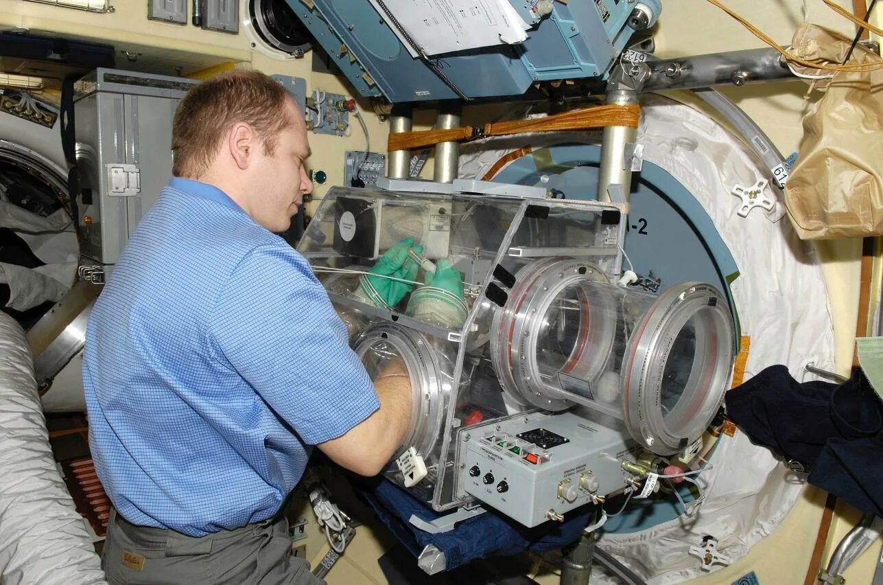 мкс внутри. главбокс с мкс. модуль мкс дестини внутри. подготовка космонавтов. ноутбуки на мкс.