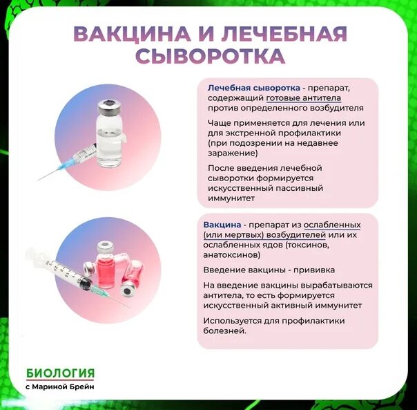 Вакцина 2 лечебная сыворотка. Вакцина и сыворотка. Лечебная сыворотка и вакцина. Примеры вакцин и сывороток. Различия сыворотки и вакцины.