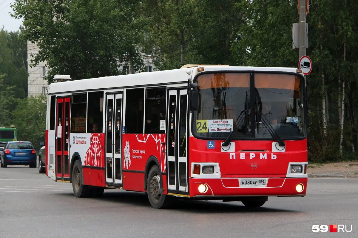 Остановки 59 автобуса пермь. Автобусы Пермь. Укороченный автобус. 53 Автобус Пермь. Новые автобусы в Перми.