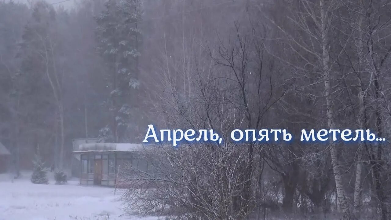 Опять метель какого ведь. Метель в апреле. Опять метель опять апрель. Апрель апрель опять метель. Метель в апреле картинки.