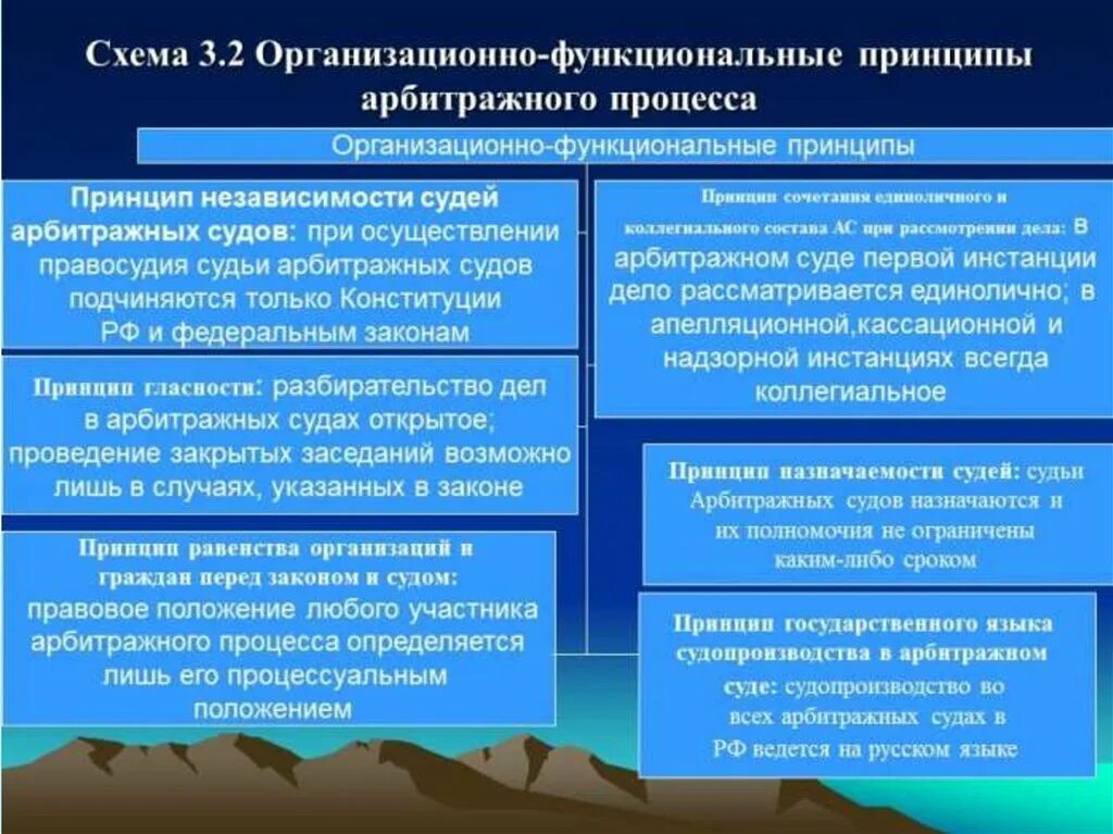 Процессуальные принципы в рф. Система принципов арбитражного суда. Принципы гражданского процесса. Принципы арбитражного процесса. Принципы конституционного судопроизводства.