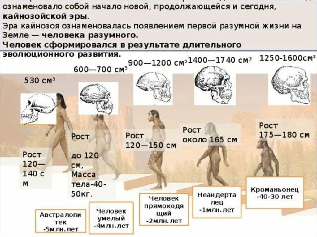 Эры развития человечества. Эры жизни человека. Возникновение человека разумного. Период появления человека.