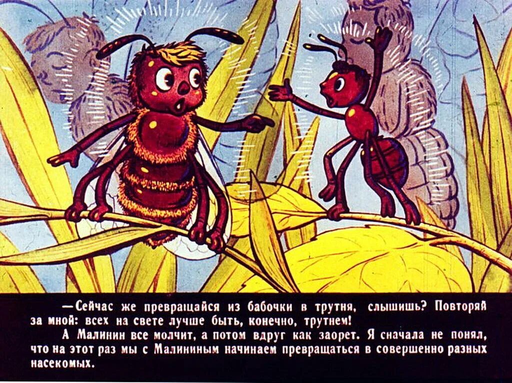 Баранкин будь человеком мирмики. Баранкин муравей. Баранкин будь человеком муравьи. Баранкин будь человеком иллюстрации к книге.