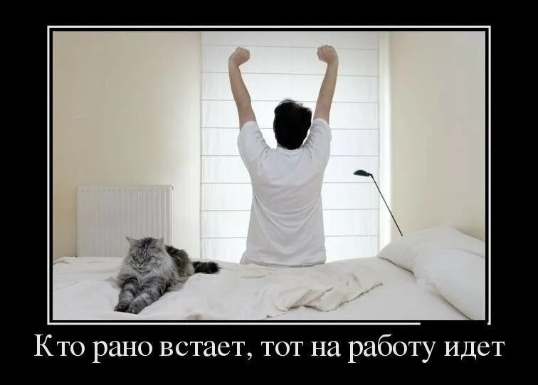 Наконец то утро