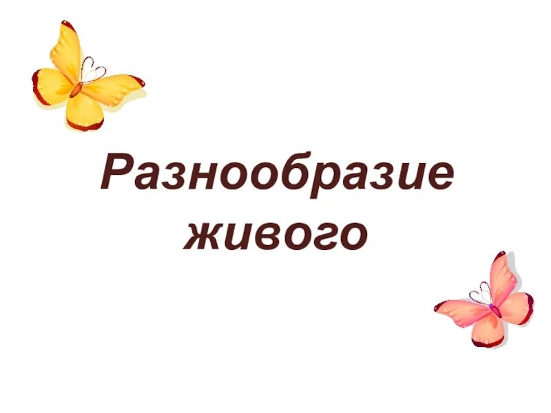 Разнообразие живого. Разнообразие живого 5 класс биология. Презентация на тему разнообразие живого. Проект разнообразие живой природы.