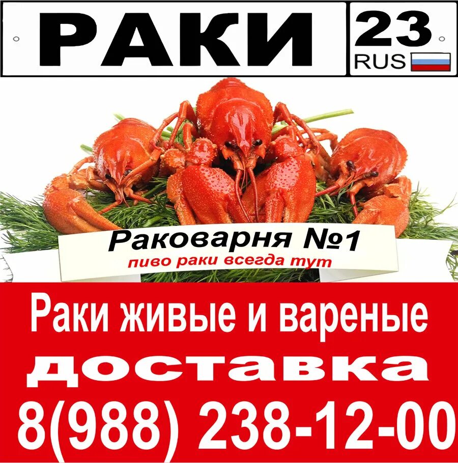 Раковая Сочи. Раковарня ГЛАВРАК Сочи. Акции для Раковарня. 123 Раковая Сочи. Рак на 23 февраля 2024