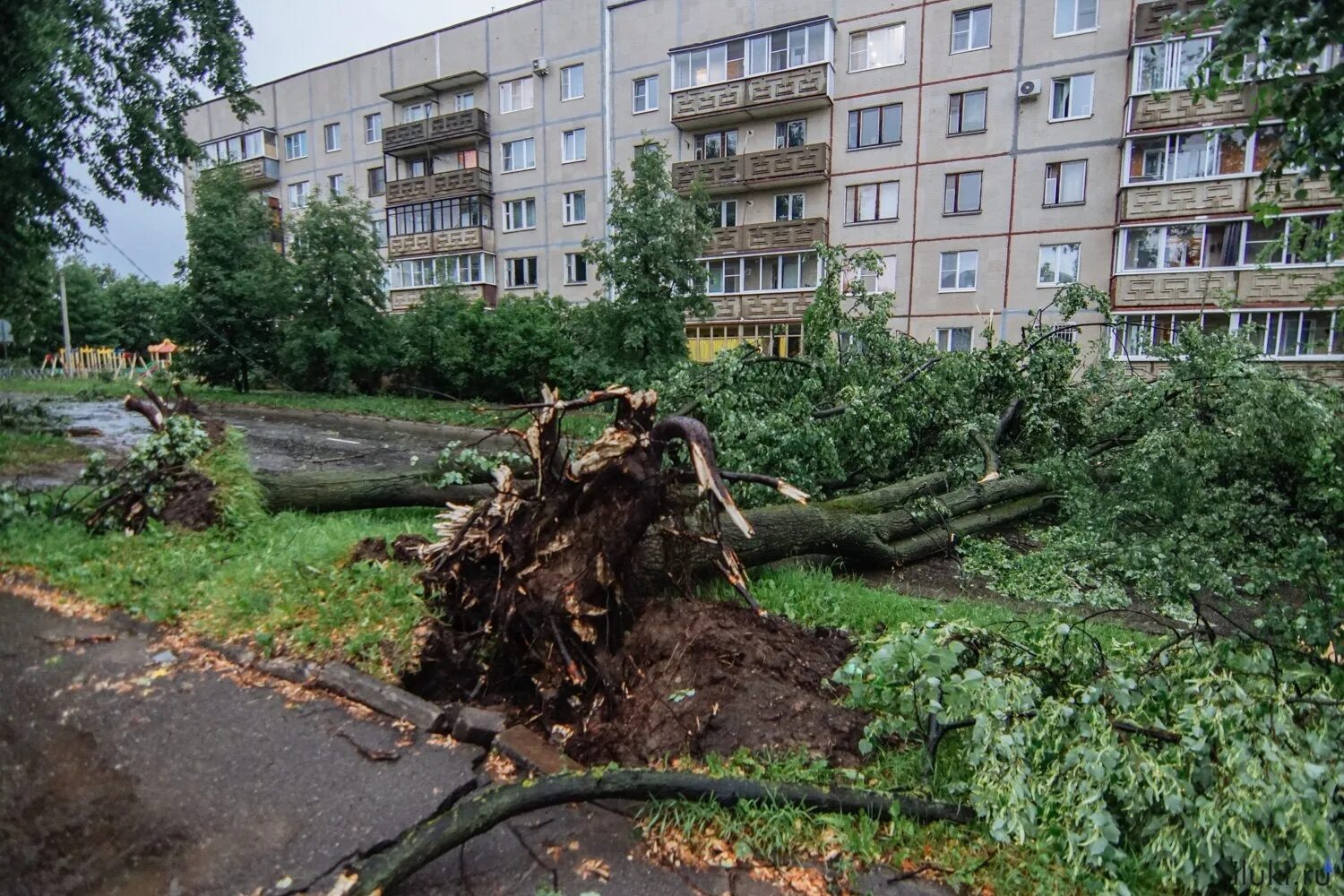 Великие луки буря