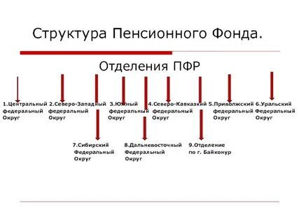 Структура пенсионного фонда