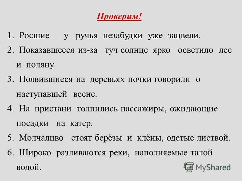 Росшие незабудки у ручья уже зацвели. Росшее незабудки у руч. Росшие у ручья незабудки зацвели причастный оборот. Росшие у ручья незабудки уже зацвели причастный оборот. На берегу лесного ручья растут незабудки