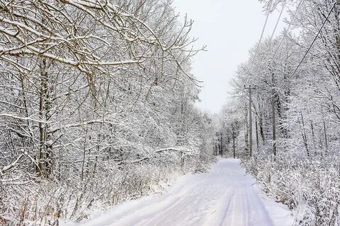 Январе ло