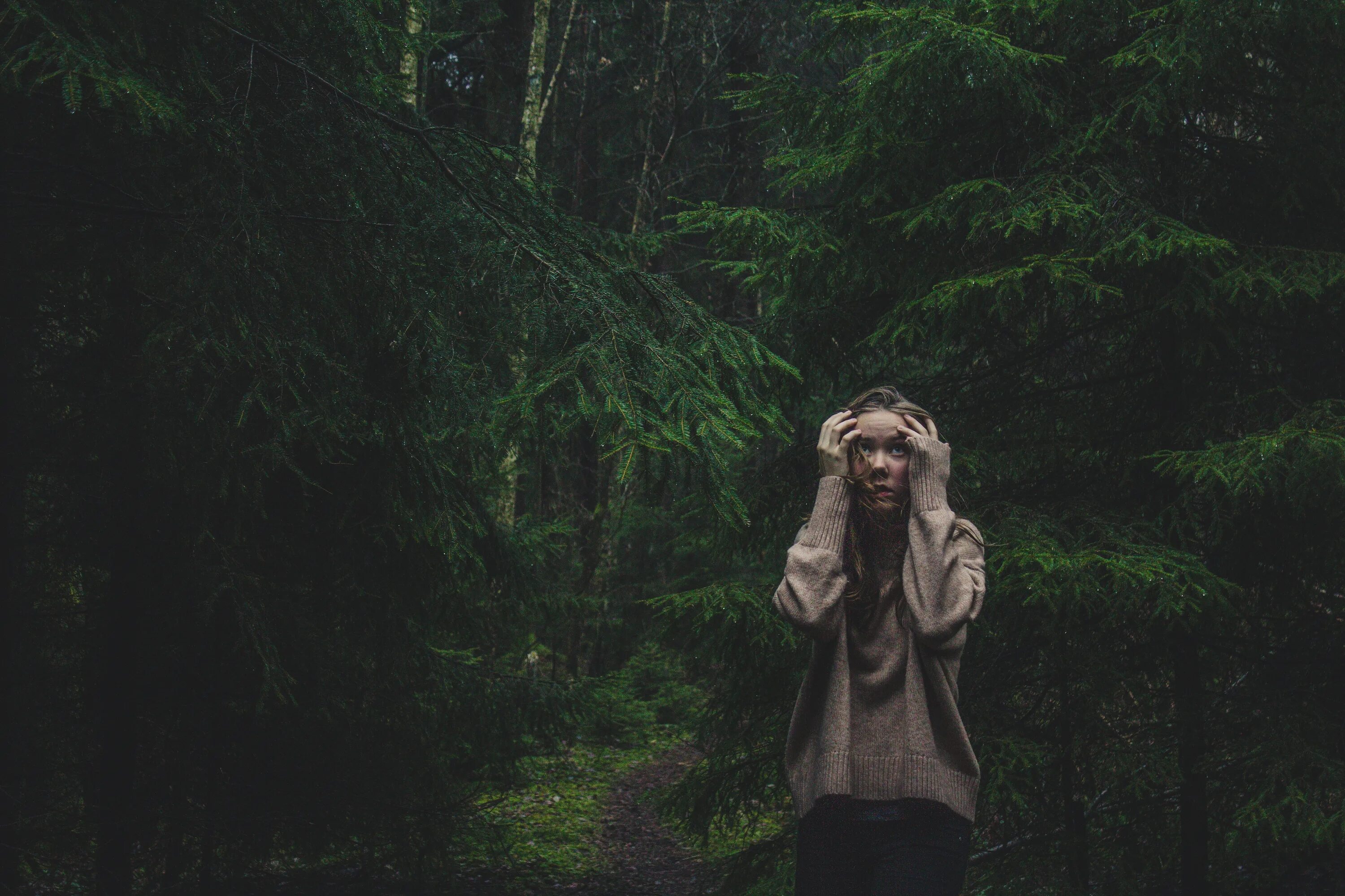 Forest of fear