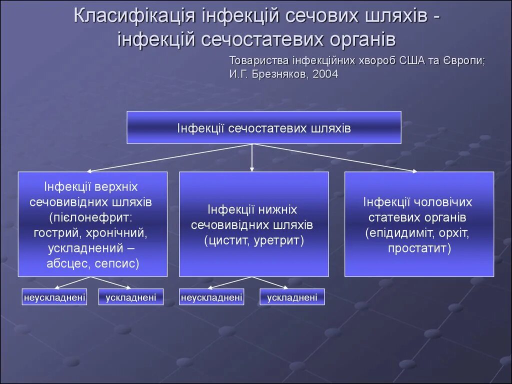 Заболевания мочевых путей. Классификация инфекций мочевыводящих путей. Инфекция верхних мочевых путей. Инфекции нижних мочевыводящих путей. Классификация инфекции мочевых путей.