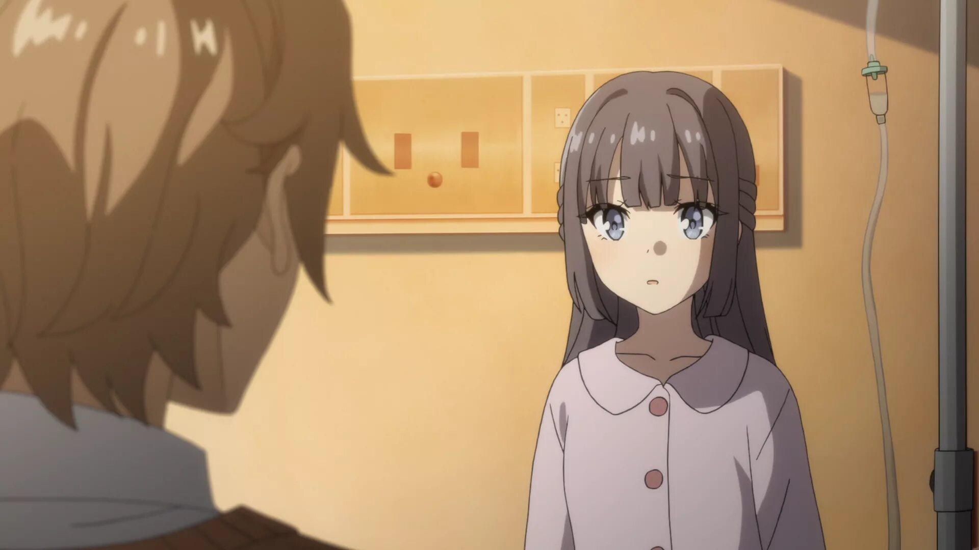 Shoko makinohara. Ребенок мечтает. Этот глупый свин не понимает мечту девочки. Аниме май сакураджима и сакута. Сёко макинохара взрослая.