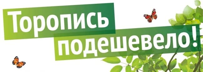ситуация в магазине. минимальный набор продуктов. товары в магазине. товары стали дешевле. динамика рынка строительных материалов в 2022 году.