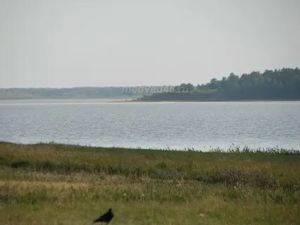 Сайт курганское область медвежьи озера