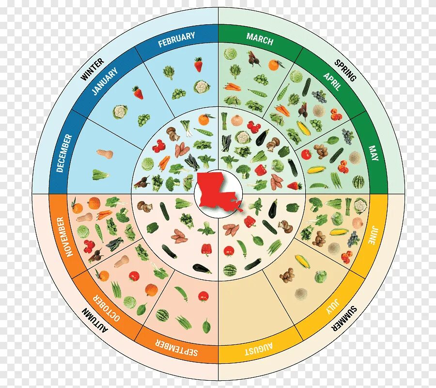 Сезонность года. Сезонные овощи. Сезонные фрукты. Сезонность овощей и фруктов. Сезонность питания.