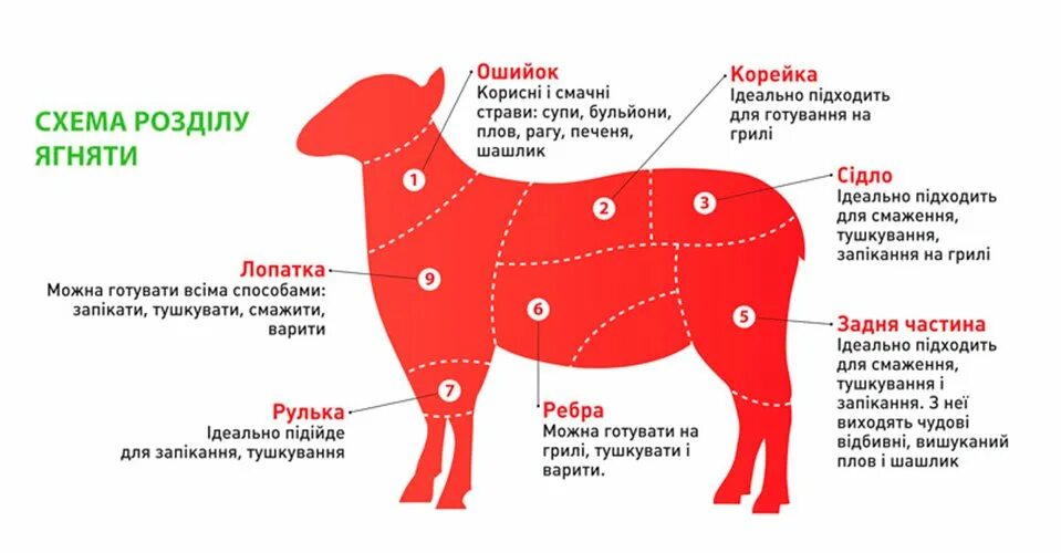 Схема разделки бараньей туши. Схема разруба туши баранины. Части туши баранины. Мясо баранина схема разруба.