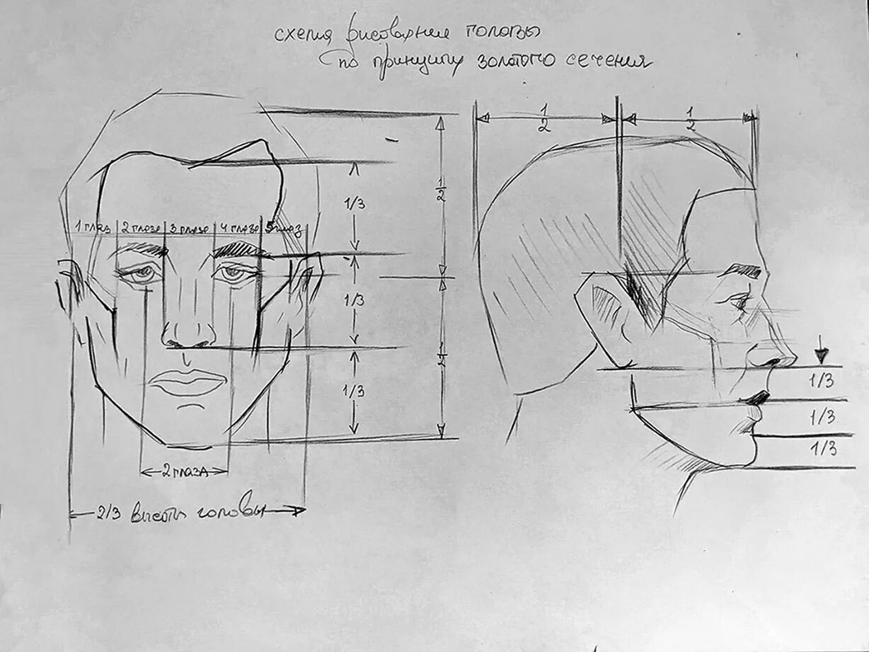 Лицо рисунок схема. Построение лица человека. Основы рисования портрета. Схема лица человека для рисования. Схема рисования лица человека карандашом.