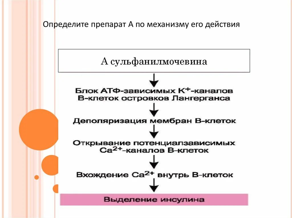 Отличают препараты. Механизм действия гормональных препаратов. Механизм действия препаратов сульфанилмочевины. Механизм гипогликемического действия препаратов сульфанилмочевины. Пероральные сахароснижающие препараты механизм действия.