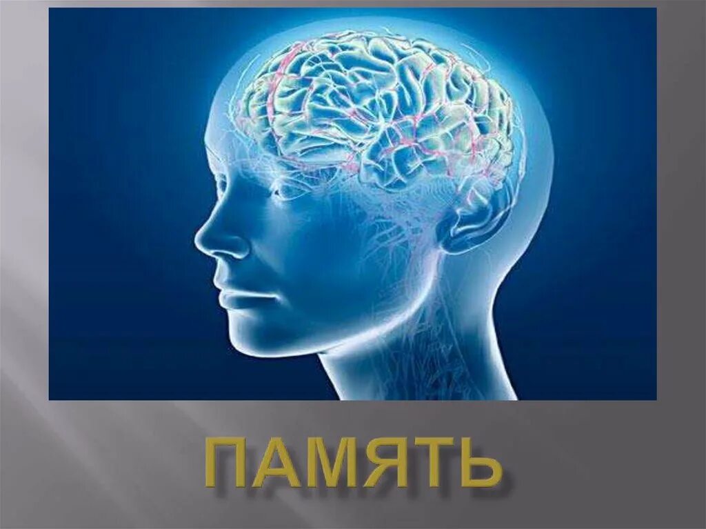 Название идеальной памяти. Память человека. Мозг память. Память картинки.