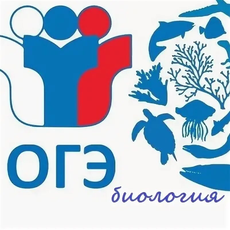 Егэ биология 2024