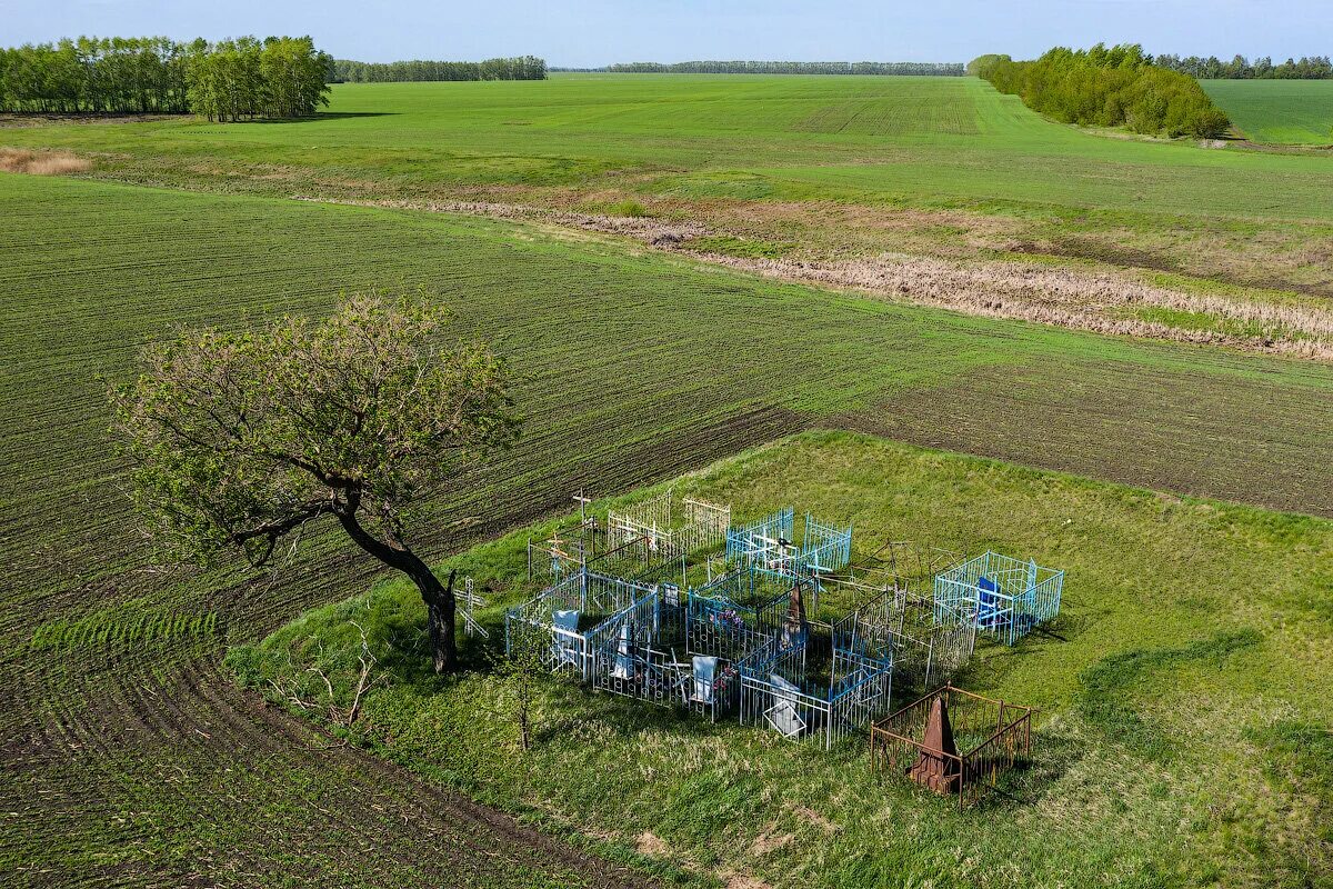 снт зеленая долина выборг. опричнина ликвидация удельных княжеств. деревня горбуны. луговой пастбищный агроландшафт. формы землевладения.