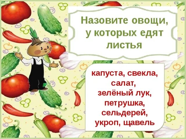 Игра называется овощи. Вопросы по кулинарии для детей. Загадки про овощи для детей. Овощ у которого мы едим листья. Презентация овощи с Чиполлино.