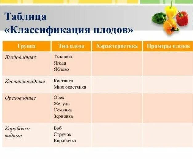 Классификация плодов 6 класс биология таблица. Классификация плодов 6 класс биология таблица. Плоды классификация плодов. Заполните таблицу классификация плодов. Классификация плодов с примерами биология 6 класс.