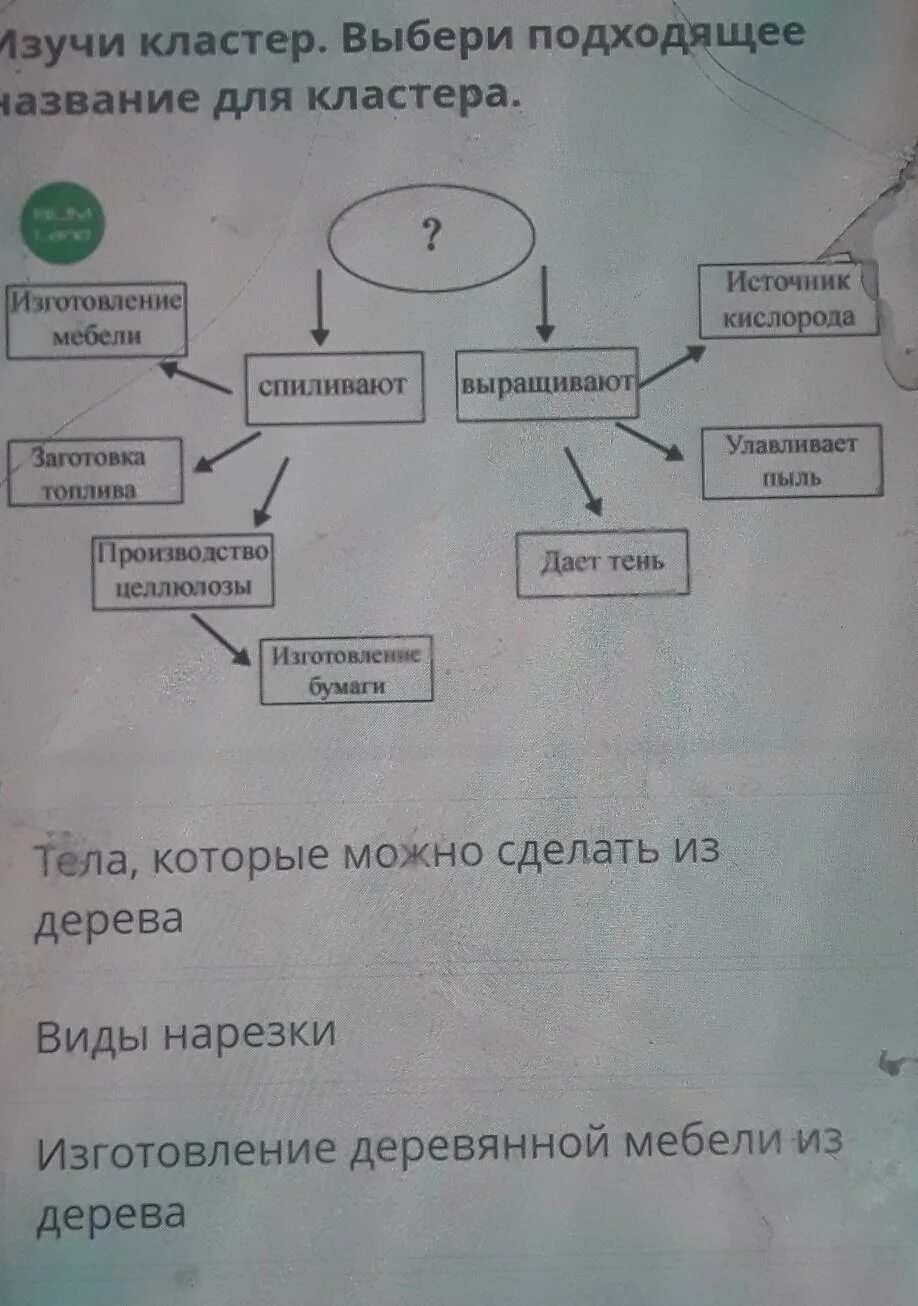 Как выбрать кластер. Кластер выбор. кластер выборы. заполните кластер строение ядра. кластер название сосудов.