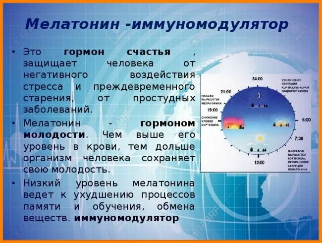 Где наблюдается наибольшая концентрация организмов. Выработка гормона мелатонина. Мелатонин гормон сна выработка. Гормоны вырабатываемые во сне. Гормон сна когда вырабатывается.