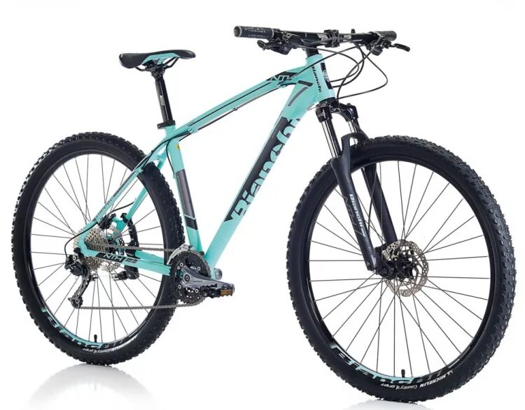 Bianchi kuma. Bianchi nth 5. bianchi. giant snap 26.