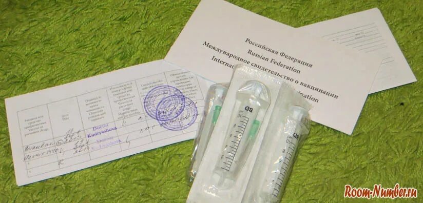 Какие прививки нужны для шри ланки. Ведды шри ланка. Бюргеры шри-ланки. Шри ланка прививки. Пляж ваддува шри ланка.