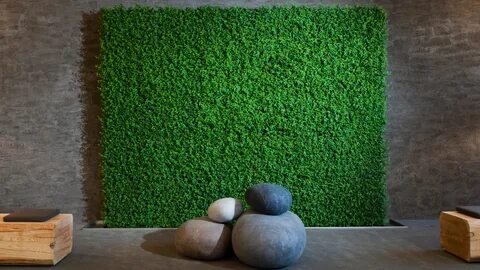 Как выбрать искусственный мох на стену? 