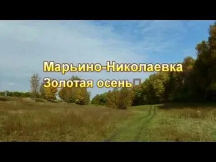 Погода в марьино николаевка тербунского