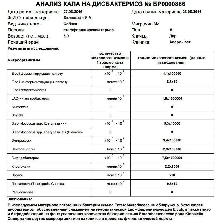 Расшифровка кала на дисбактериоз. Анализ на дисбактериоз кишечника нормы. Анализ кала на дисбактериоз расшифровка у детей. Исследование на дисбактериоз ребенка норма. Анализ кала на дисбактериоз норма.