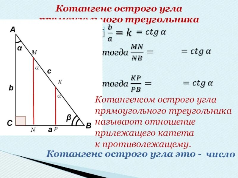 Как вычислить тангенс угла в треугольнике. Тангенс угла в прямоугольном треугольнике формула. Тангеспрямоугольного треугольника. Танге прямоугольного треугольника. Тригонометрические функции в прямоугольном треугольнике 8 класс