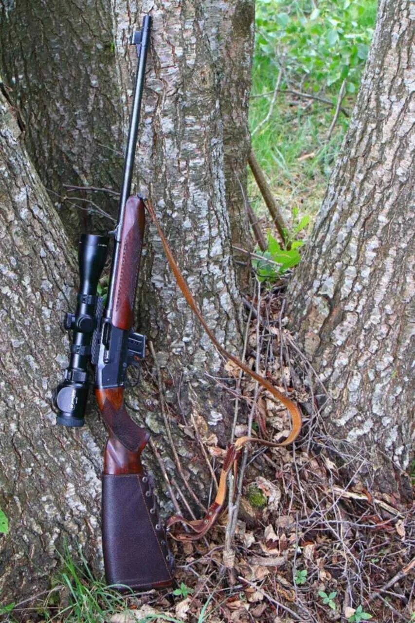 Объявление охотничьи ружья. Калибр 22 WMR для охоты. Anschutz 22 полуавтомат охотничий.