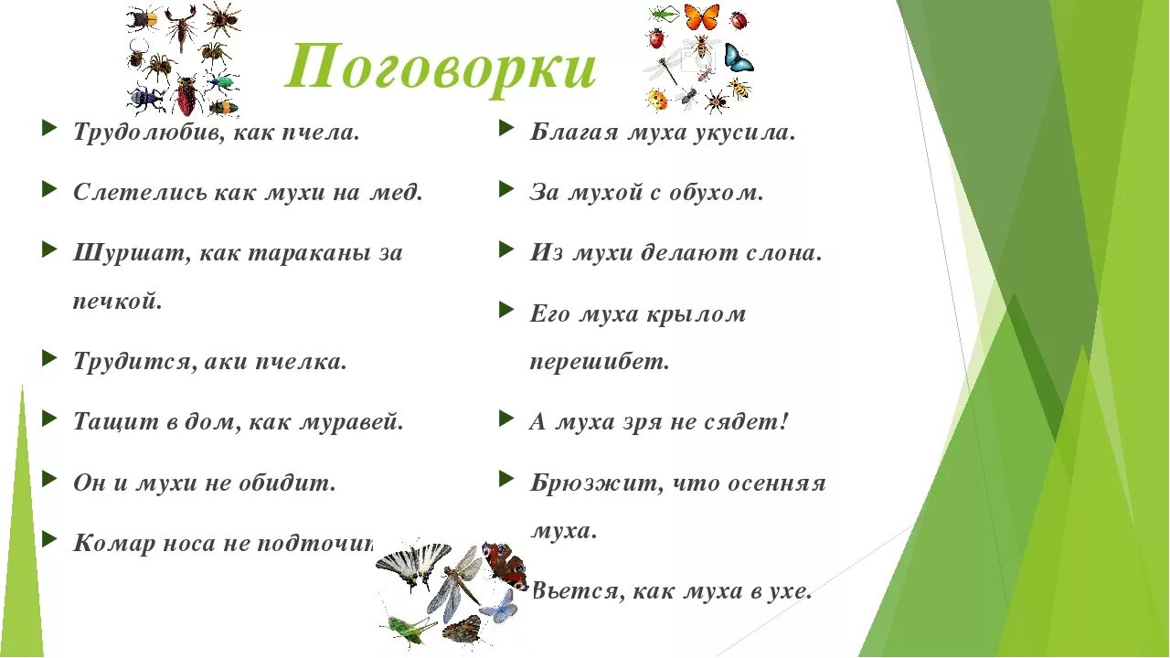 Поговорки 1 класс. Поговорки для детей. Поговорки 2 класс. Пословицы для детей. Поговорки для 5 лет