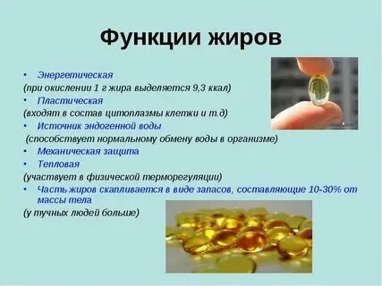 Положительная роль жира в организме. Положительная роль жира в организме. Положительная роль жира в организме. Положительная роль жира в организме. Жиры в организме животных и человека.