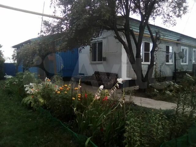Хутор шевченко краснодарский край погода тбилисский. Хутор шевченко краснодарский край. Хутор шевченко краснодарский край тбилисский. Дворец культуры станица тбилисская. Хутор шевченко краснодарский край погода тбилисский.
