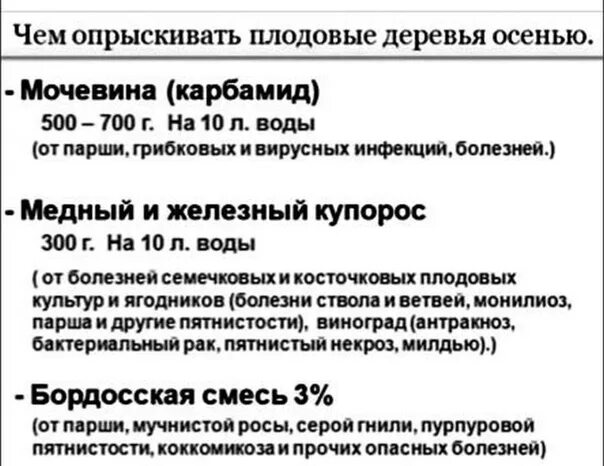 Обработка железным купоросо. Обработка сада осенью железным купоросом. Железный купорос для обработки деревьев. Как разводить Железный купорос для опрыскивания деревьев.