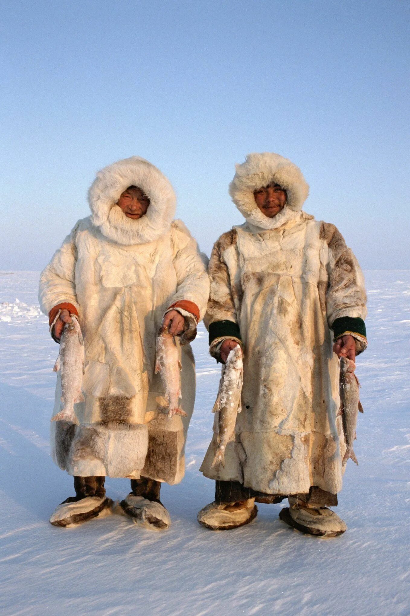Название северных людей. Эскимосы в Арктике. Чум Малица. Чукотская Малица. Малица ненцев.