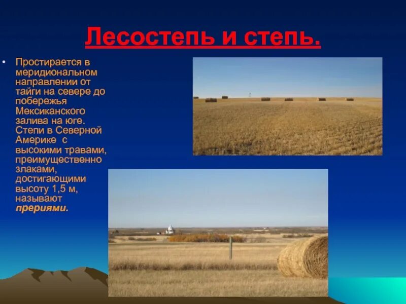 Климатические пояса лесостепи и степи северной америки. Штат канзас степь. Климат степи прерии северной америки. Национальный парк грасслендс. Прерия северной америки.
