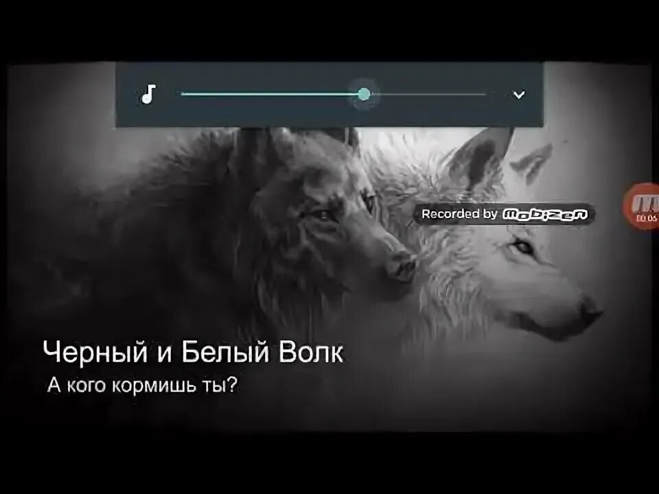Притча о двух волках. Белый волк против черного волка. Черный белый волк песня. Ырe wolf song. Черный белый волк песня.