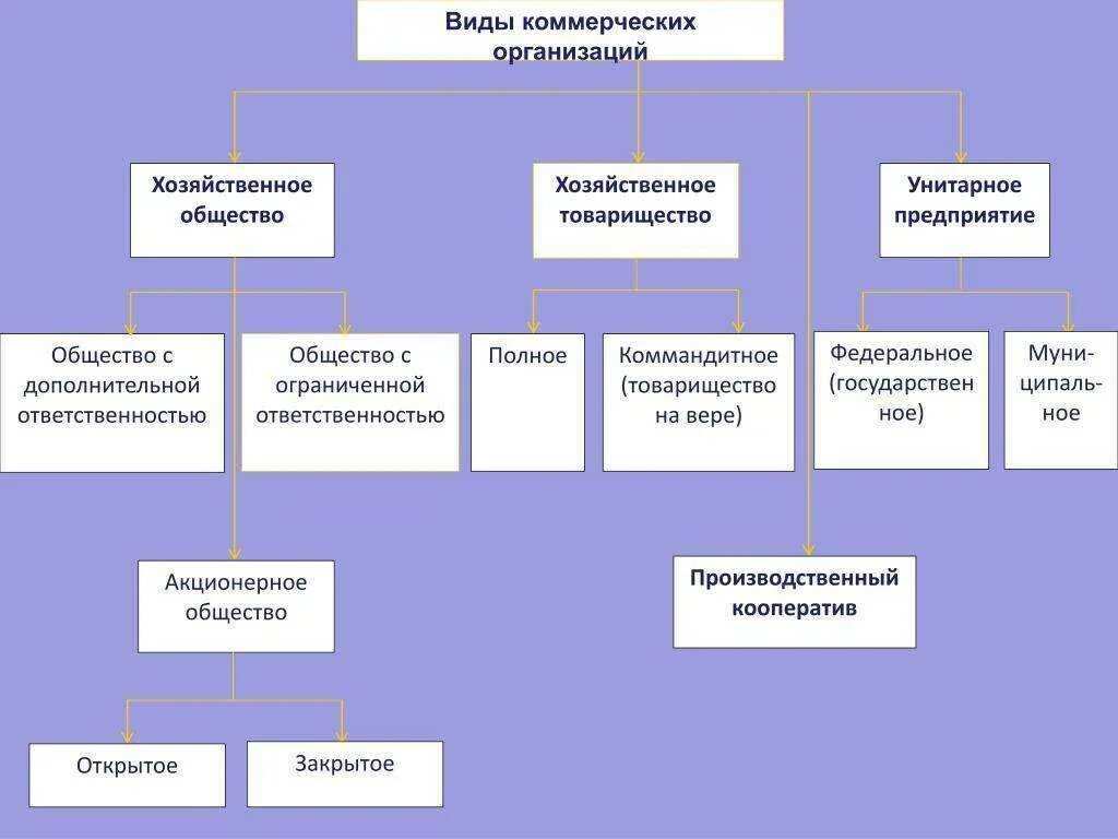 Акционерное общество является коммерческим лицом