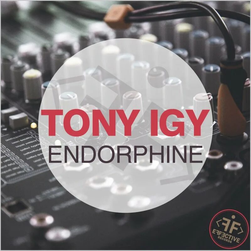 Тони иги. Tony igy - Endorphine. Тони иги слушать. DJ Tony igy.